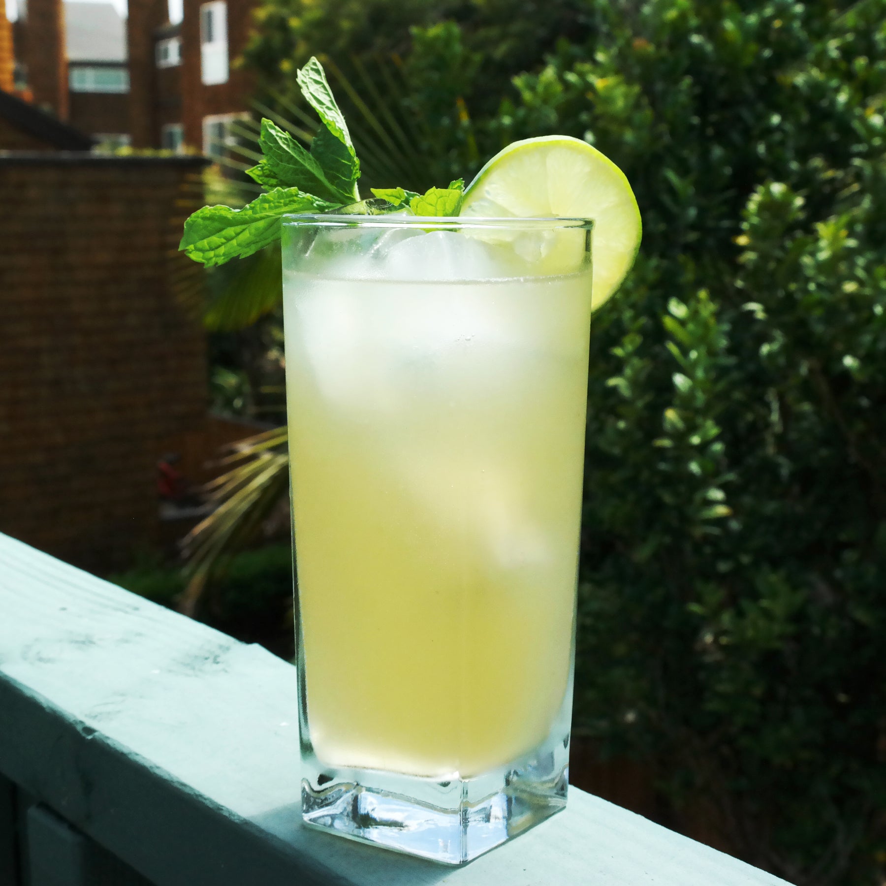 Ginger Mint Collagen Cocktail