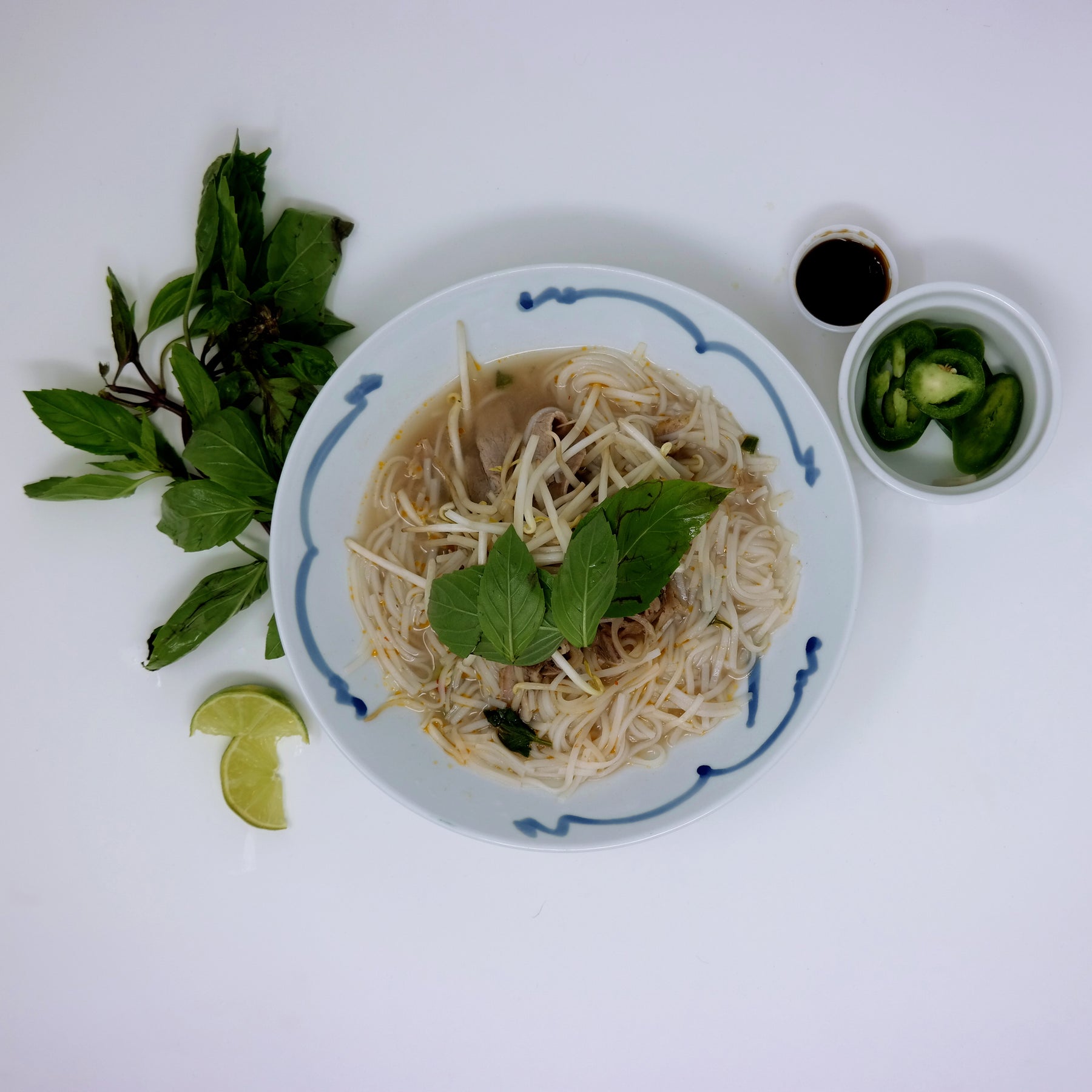 Beef Bone Broth Pho